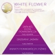 <B>WHITE FLOWER</B> SPRAY 250 ml odświeżacz powietrza PREMIUM